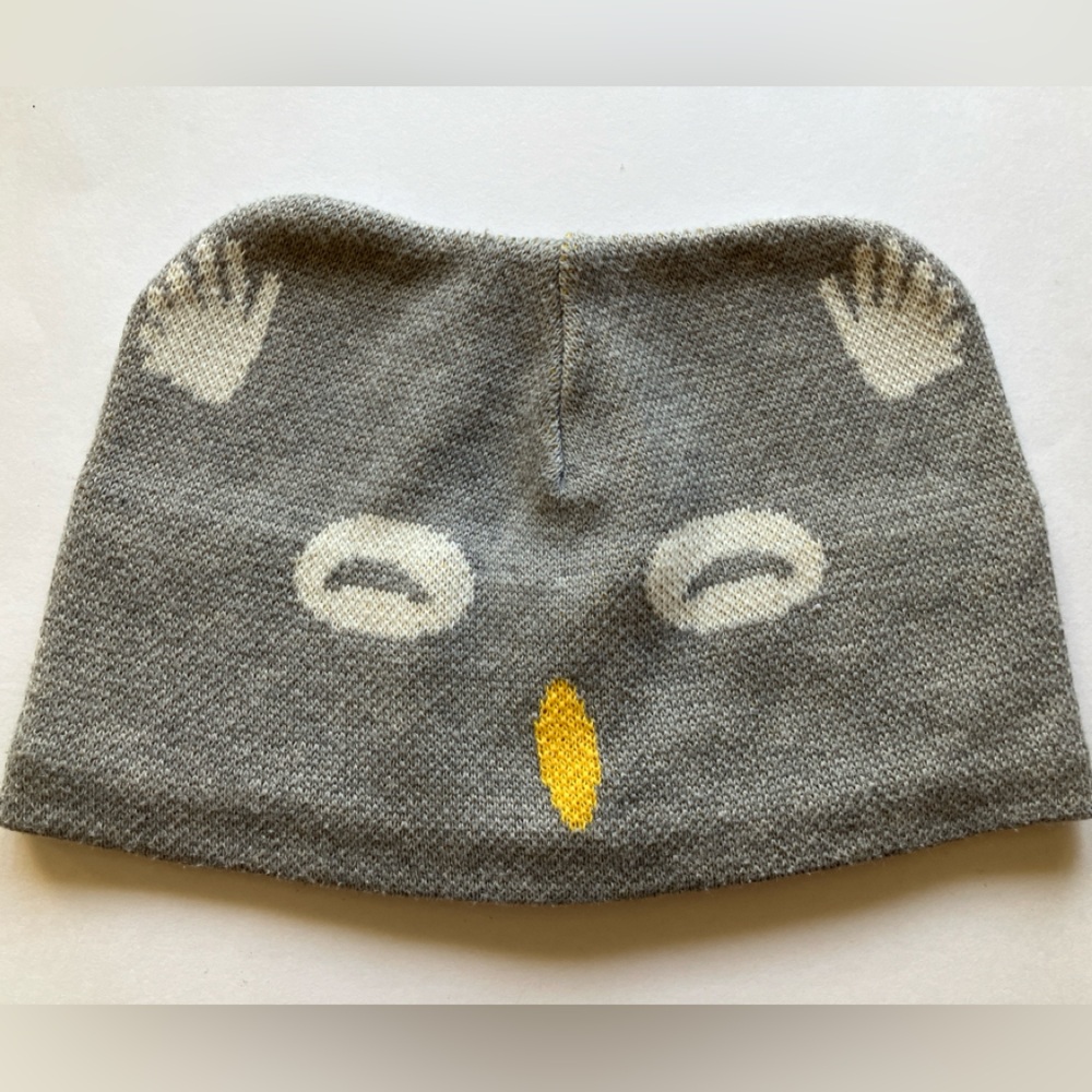 Patagonia Gray Owl Kids Hat